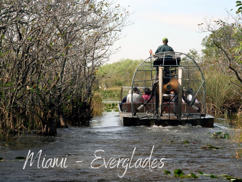 Es gibt viele Touren von Miami zu den Everglades inkl. Besichtigung
