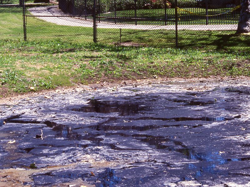 La Brea Tar Pits